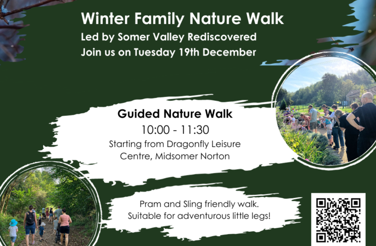 Winter Family Nature Walk – Tue 19 Dec @10:00